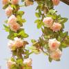 Artificial Rattan Rose Vine for Ceiling & Wall Decor - Wedding & Pipe Covering