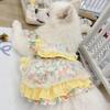 Pet spring and summer new medium and large dog princess lace skirt cute dog cat clothes Samoyed anti-hair loss