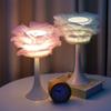 Warm Nordic Small Table Lamp, Bedroom, Bedside Romantic and Creative Feather Lamp, Small Night Lamp, Ins Girl