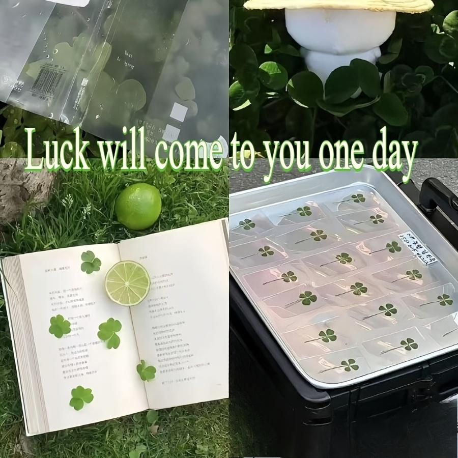 10pcs Lucky Clover Postcards Grass Transparent Wishing Cards Ideal for Bookmark Decoration Perfect Holiday Gifts School Supplies