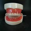 Detachable Dual-Pin Full Arch Dental Teaching Model