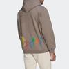 Adidas Originals X Sean Wotherspoon Superturf Graphic Pullover Hoodie Men Light Grey Brown HI3302