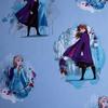 Prześcieradło Bawełniane Z Gumką 90X200 Frozen 1513 Kraina Lodu Anna Elsa Dla Dzieci