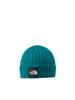North Knit Hat Cappucho Lid Restorative Teal KF [The Face] Kids'