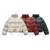 Mens Winter Down Jacket Stand Collar Warm Puffer Coat 90% White Duck Loose Fit Short Length Cold Weather
