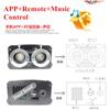 Dual Head Fiber Optic Lights Smartphone Bluetooth APP Control 20W Music Remote Control 300pcs Cable Car Roof Starry Sky Ceiling Light
