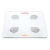 Bodivis N1 Smart Body Fat Scale (CN Version)