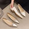 Fashion 2025 New French Elegant Pointed Toe Low Heel Women's Singles