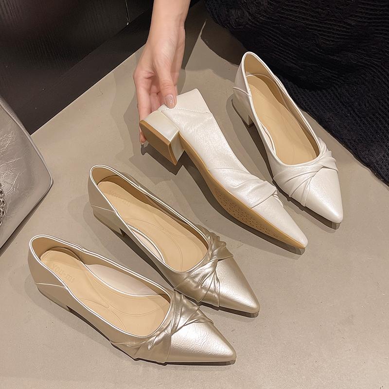 Fashion 2025 New French Elegant Pointed Toe Low Heel Women's Singles