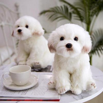 Malteser Hund Plüschtier - Niedliche Bichon Frise Stofftierpuppe
