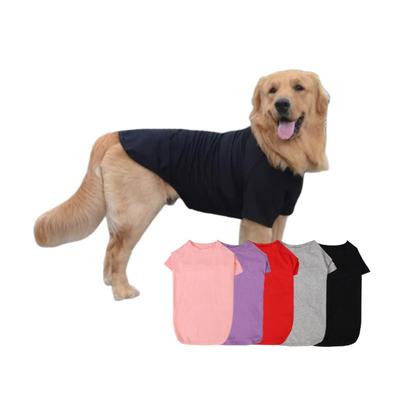 Roupa e sapatos – Coletes e camisas para cães