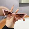 JYL TS Sunglasses Women UV Protection Slim Face 98100