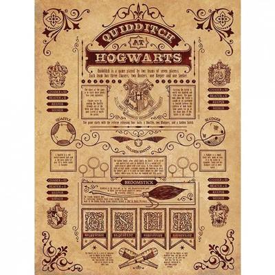 Quidditch Sigatüükas raamitud lõuenditrükk