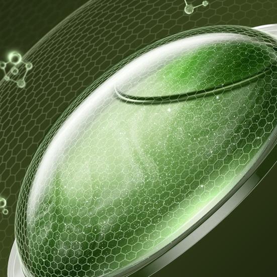 2/5Pcs Silicone Repellent Bracelet Plant Essential Oil Waterproof Long Lasting Outdoor