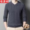 Hengyuanxiang Men's 100% Wool V-Neck Sweater