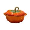 Large Capacity Multifunctional Cast Iron Enamel Stew Pot with Double Ears
