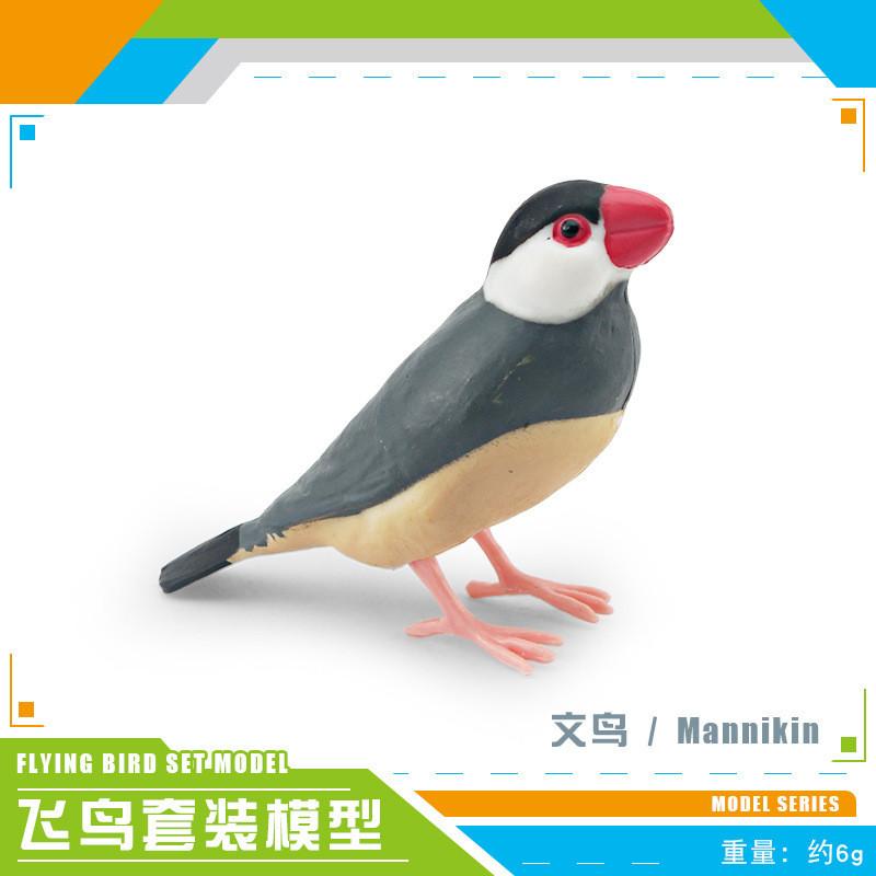 Exquisite Realistic Bird Models In Pvc Material Showcasing Colorful Parrots Owls And Songbirds