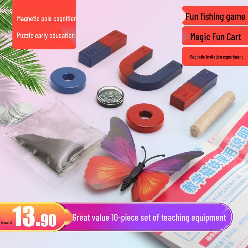 Science Experiment Magnet Set: Horseshoe, Bar, Ring, Levitation Magnetite, Compass, Magnetic Powder