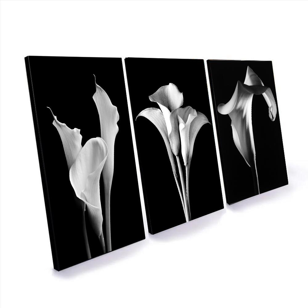 Calla Lily Pôsteres Flores em preto e branco Cópias de plantas Pintura em tela Mural de parede Imagens de arte Sala de estar Quarto Moderno Decoração de pôster para casa