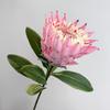 Large Artificial Artichok Flower Decoration High Quality Simulated Emperor Flower South African Bodhi Flower Wedding Home Decors