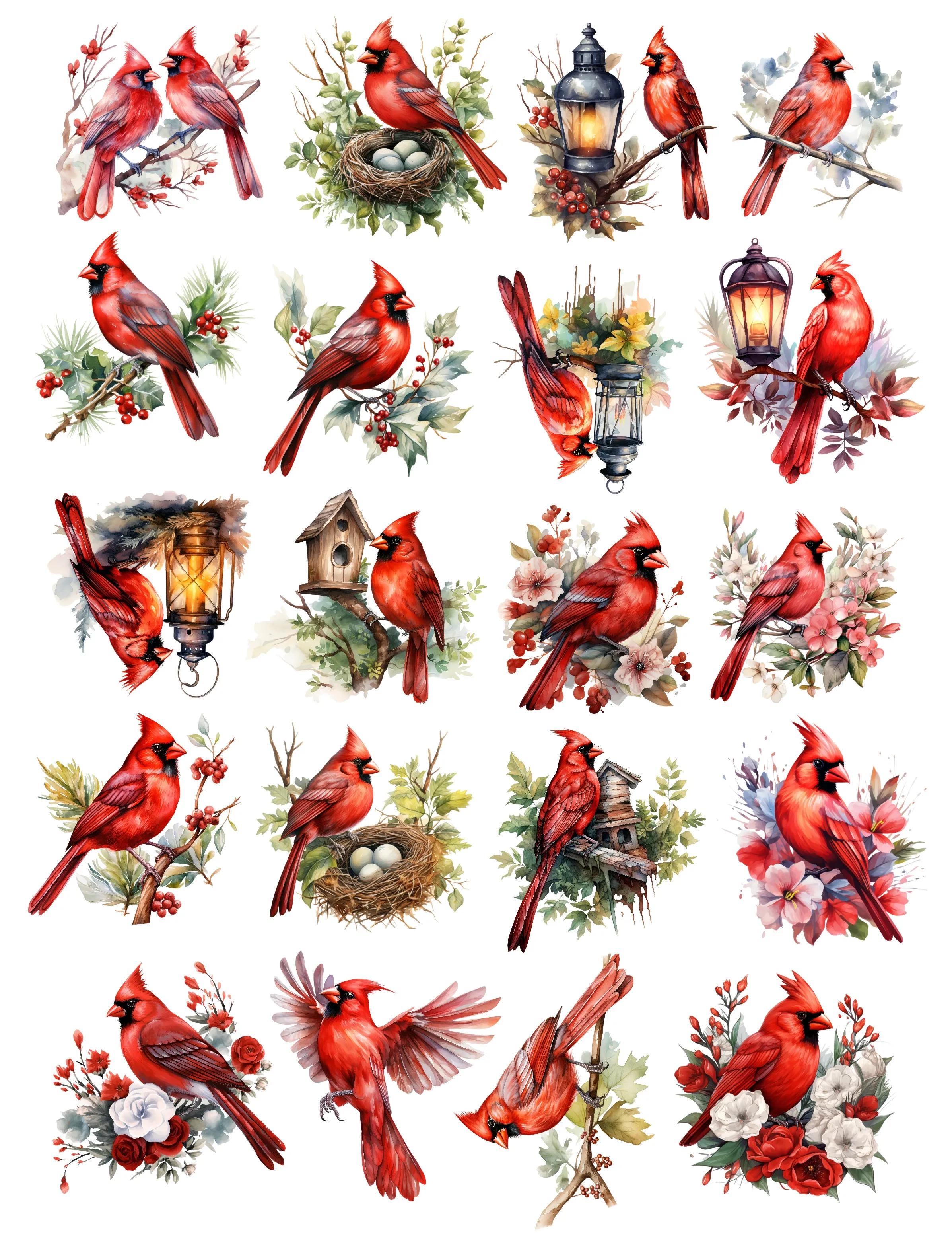 

20pcs Watercolor Cardinals Winter Birds Stickers DIY Diary Decoration Album Style Stationery journal supplies scrapbooking білий