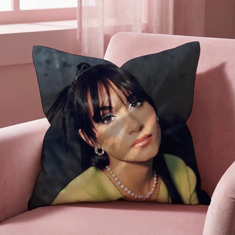Singer A-Aitana Ocana Cushion Cover Multi-Scene Pillow Cover for Home & Car - Reversible, Soft & Durable for Daily Use