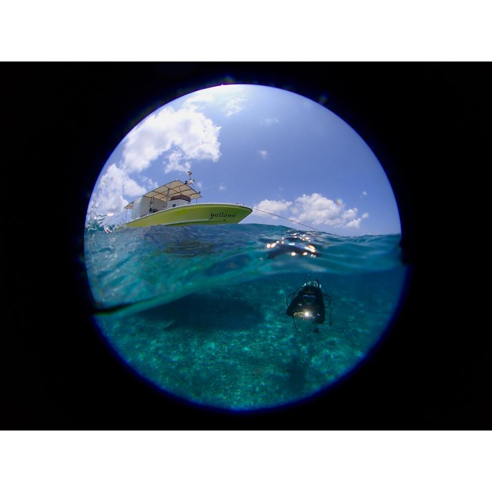 Žuvies akies konverteris FCON-T02 (TG-5TG-6TG-7makrofotografijapofotografavimas po vandeniufotografavimas lauke)