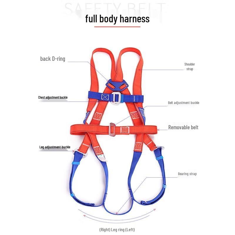 Yulong European Style Safety Belt with Waist Support and Double Hooks