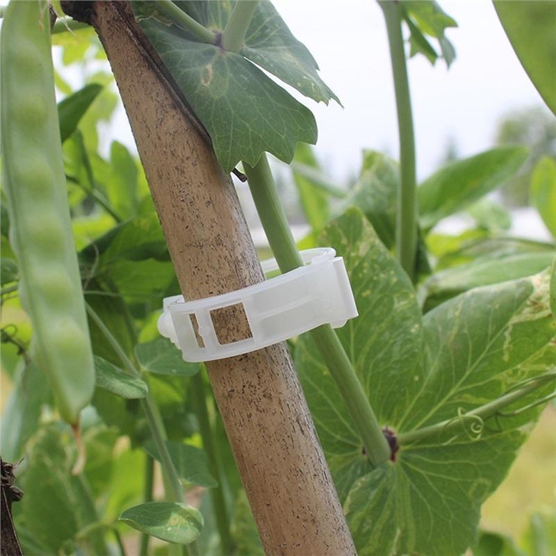 100PCS Garden Plant Flowers Tied Bundle Branch Clamp Clip Tools fruit Vegetables Vine support Clips