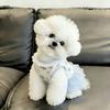 Soft Thin Summer Dog Dress Cute Style Princess Dress New Teddy Dog Skirt  for Small Dogs