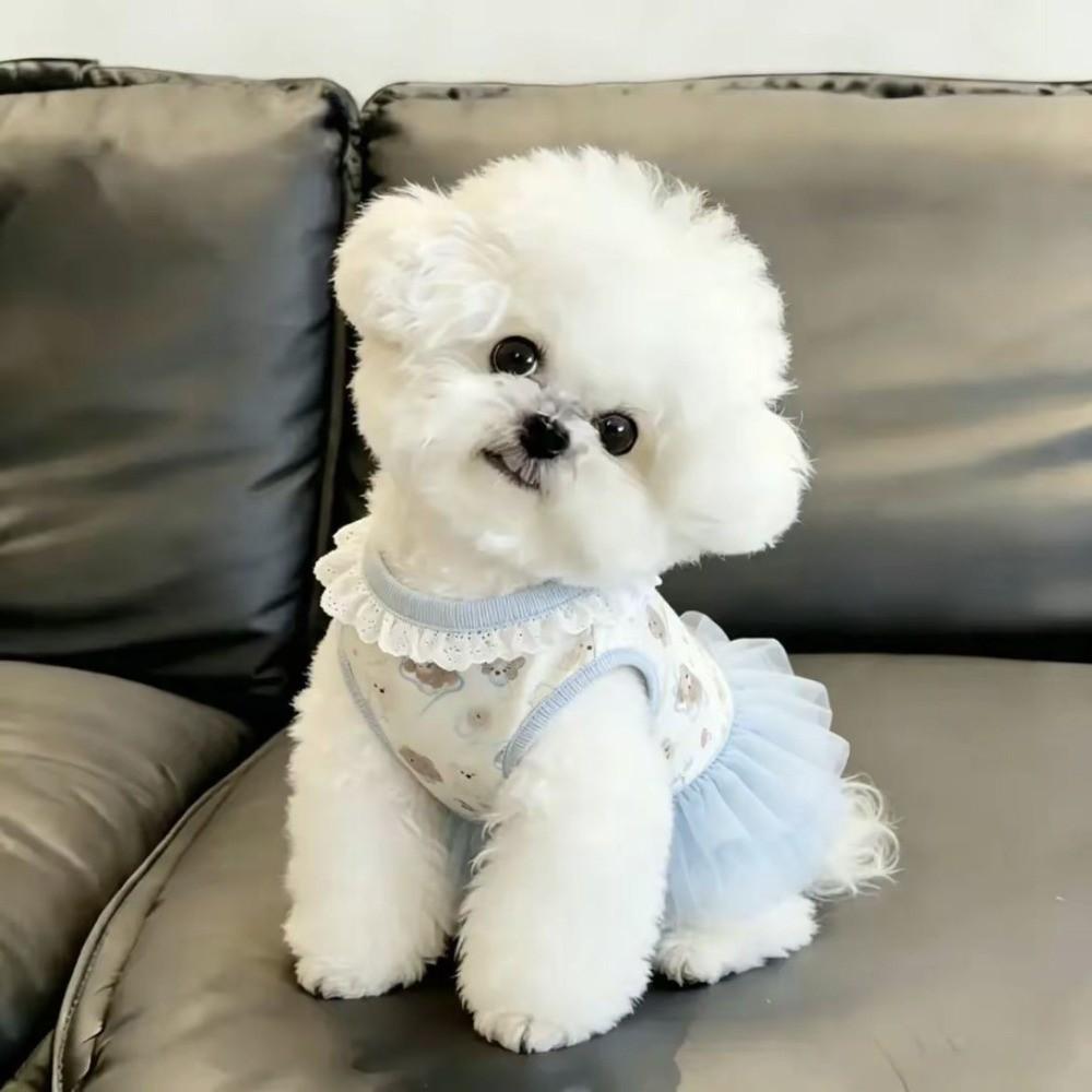 Soft Thin Summer Dog Dress Cute Style Princess Dress New Teddy Dog Skirt for Small Dogs
