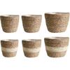 Seagrass Planters, Cover Storage Basket Containers Hand Woven Straw Pot with Plastic Liners for Indoor Outdoor Plant, Flower