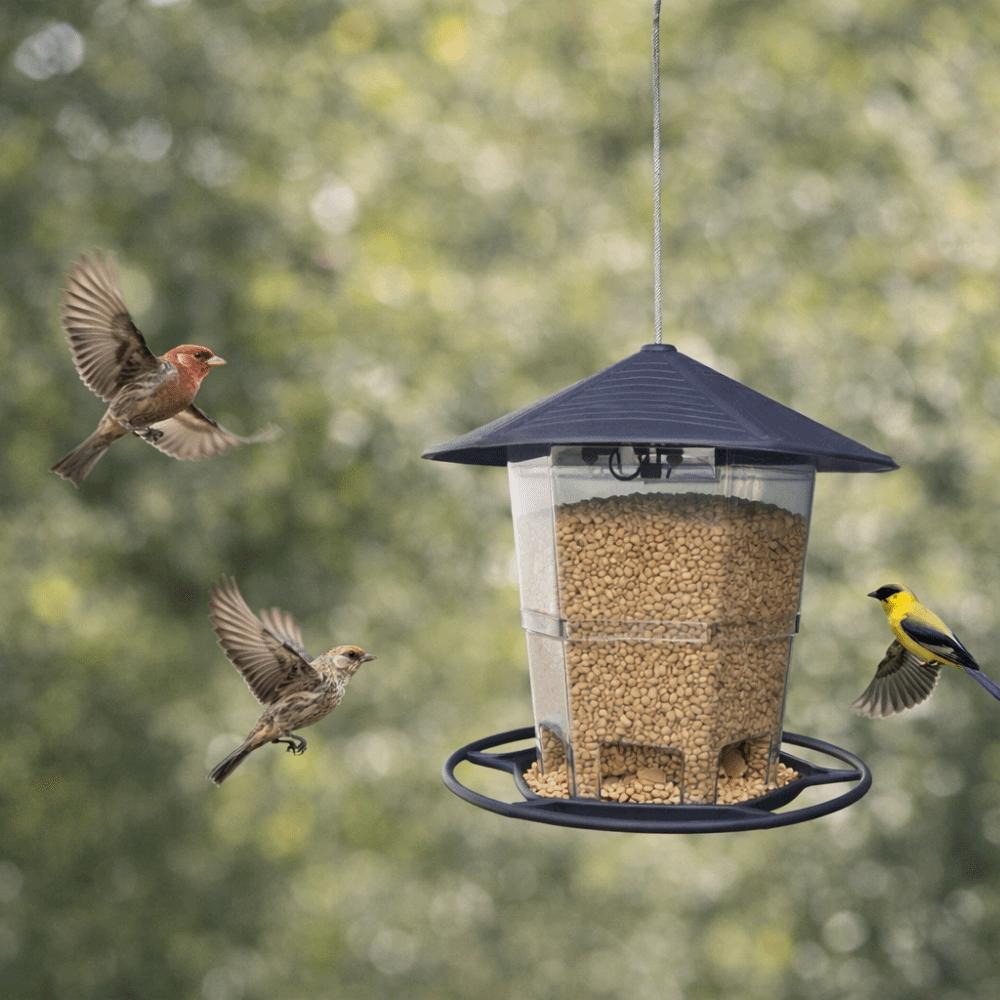 Waterproof Hanging Bird Feeder Folding Bird Food Dispenser Multi-purpose Bird Feeder Tray  Patio
