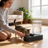 Pet Mate Automatic Cat Water Fountain With Large Capacity For Hydration And Feeding