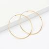 European and American Large Circle Earrings Temperament Korean Personality Hipster Earrings Versatile Ring Earrings Fashion Exaggerated Earrings