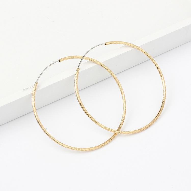 European and American Large Circle Earrings Temperament Korean Personality Hipster Earrings Versatile Ring Earrings Fashion Exaggerated Earrings