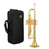 AUROSUS 6331 Bb Standard Trumpet Leadpipe Phosphorous Coppe  for Beginner or Advanced Student  Case Cloth Gloves Brass Musical Instruments
