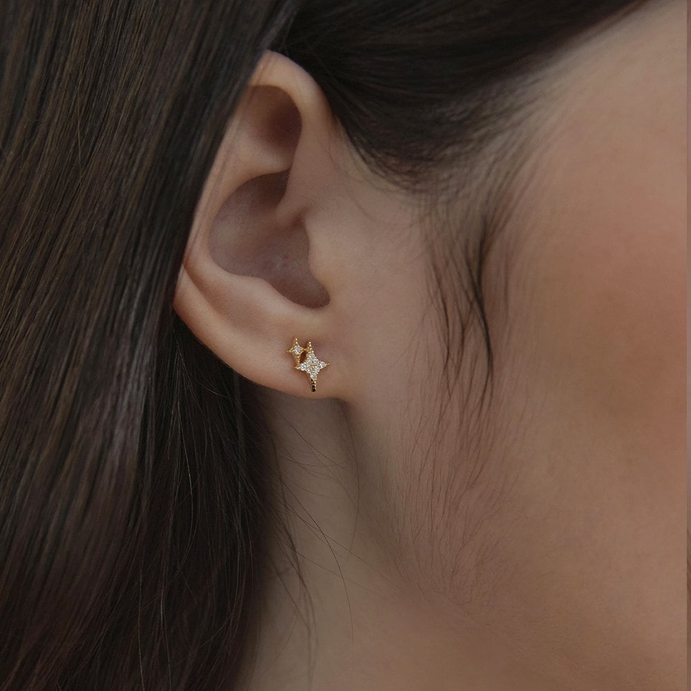 (925 Silver) Super Shine Earrings Ec3137