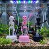 with Pipe Suction Cup Dancing Skeleton Aquarium Bubbler  Aquatic Landscaping