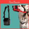 Perros – Manuales de entrenamiento y conducta