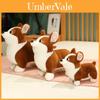 Muñecas y Peluches – Peluches