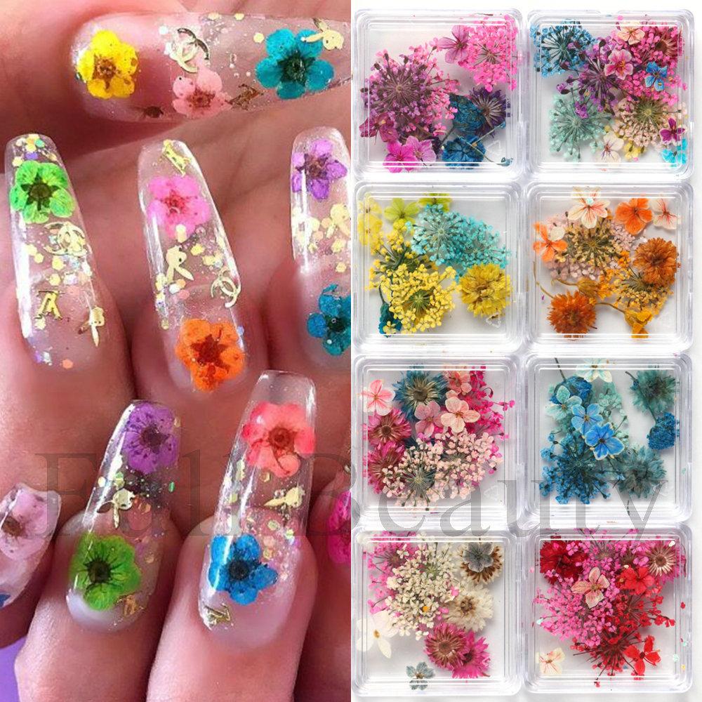 Nail Art Dried Flowers Japanese Mixed Filled With Star Hydrangea Small Wrinkled Chrysanthemum Box Decoration Nail Dried Flowers