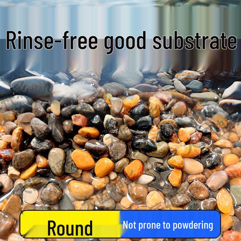 Natural Stream Stones & Pebbles for Aquarium and Turtle Tank Landscaping