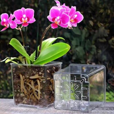 Květináč Akrylový Průhledný Květináč na Orchideje Prodyšný Hydrofobní Dno Odvodnění Květináč Květináč pro Růst Hlízy