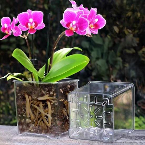 Flowerpot Acrylic Transparent Orchid Planter Breathable Hydrophobic Bottom Drainage Plant Pot Tuber Growth Planter
