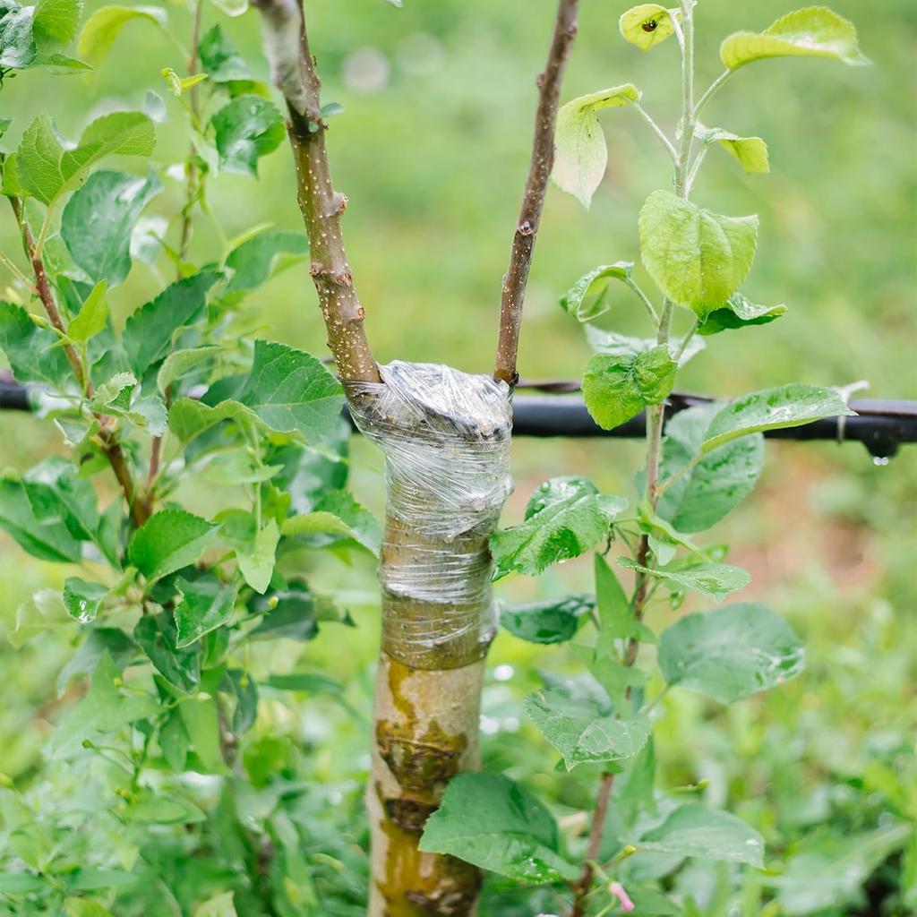 PE pruning tape, stretchable self-adhesive grafting tape, horticultural/garden fruit tree protection transparent film