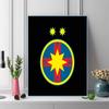 FCSB Bucuresti Pattern  3pcs 100% Round Full Drill 5D DIY Diamond Painting Embroidery Cross Stitch Rhinestone Décor