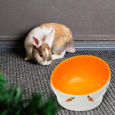 Feeder Bowl Food Dispenser Feeding Basin Cat Dog Water Ceramic Hamster for Puppy Kitten