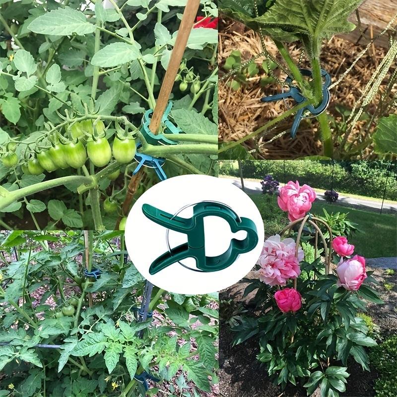 Plant Fixed Clips Reusable Garden Greenhouse Bracket Garden Plants Vine Climbing Clamp Flower Tomato Support Fastener