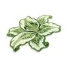 Modern Home Decor Mat Lily Shape Floor Mat, Absorbent Velvet Rug for Bathroom And Entrance, Non-slip Decorative Flower Bedroom Dressing Table,